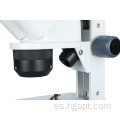 Microscopio de cabeza binocular con interruptor de atenuación de dial